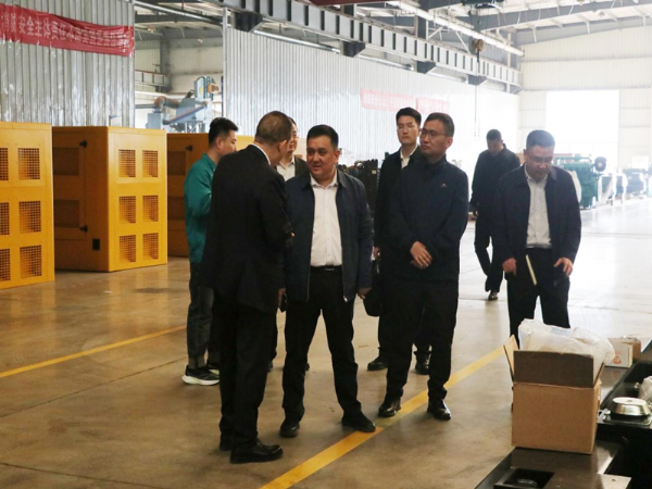 Zhang Qinguo, member of the Standing Committee of the County Party Committee and Deputy County Mayor, visited COMLERPOWER for an investigation